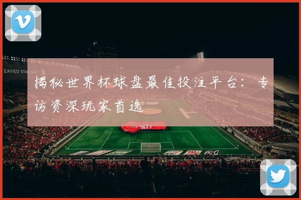 揭秘世界杯球盘最佳投注平台：专访资深玩家首选