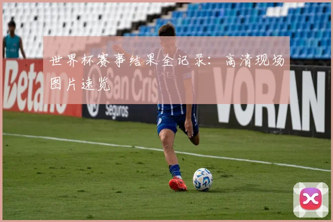世界杯赛事结果全记录：高清现场图片速览