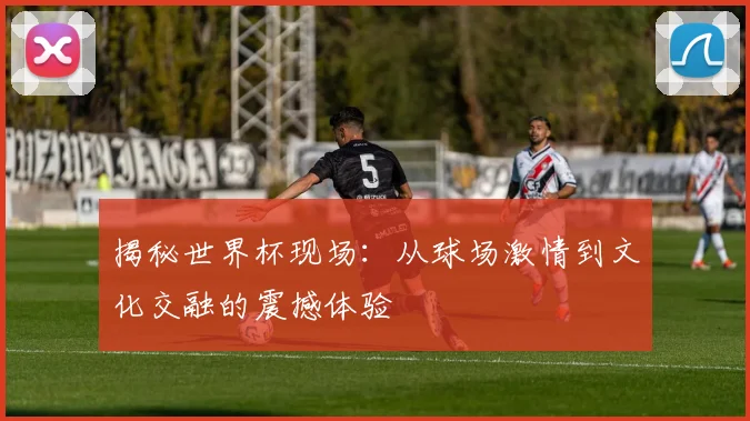 揭秘世界杯现场：从球场激情到文化交融的震撼体验