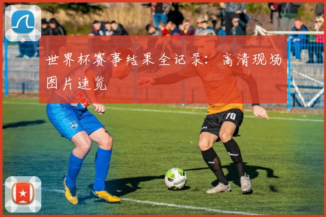世界杯赛事结果全记录：高清现场图片速览