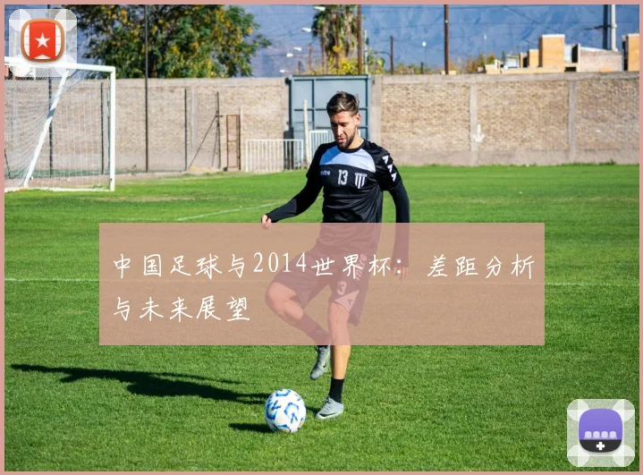 中国足球与2014世界杯：差距分析与未来展望